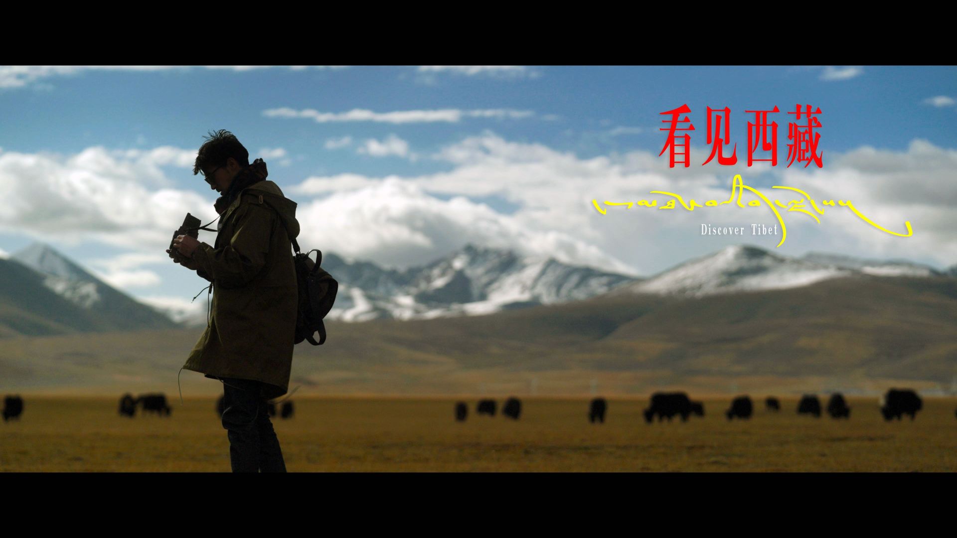 西藏博物馆宣传片《看见西藏》官方版