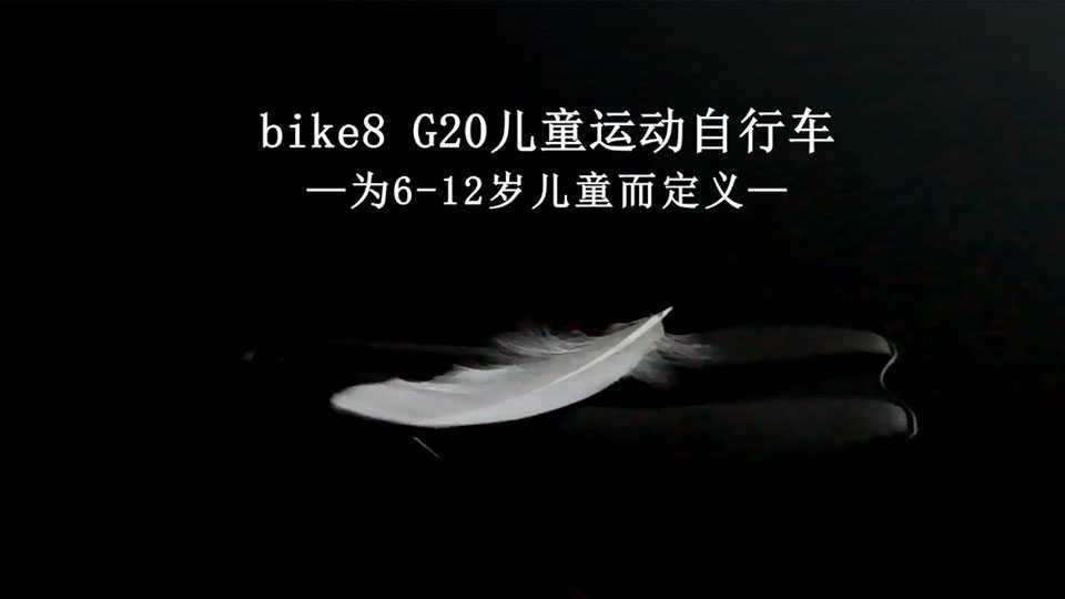 bike8G20官宣版01