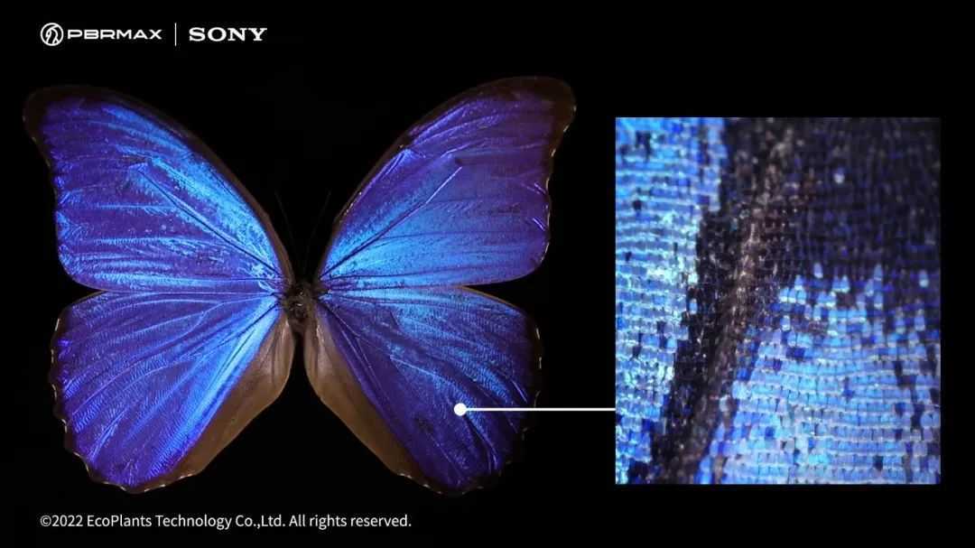 这只巴掌大的数字蝴蝶，由数十万个三角面组成，精度达8K......