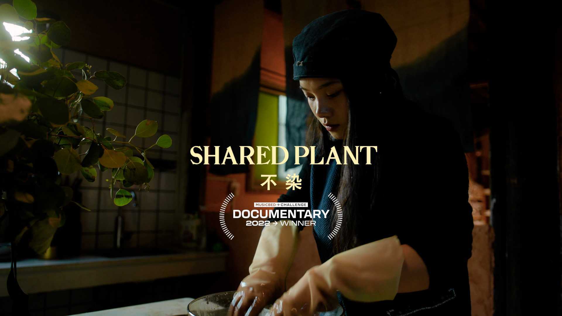 Shared Plant 不染