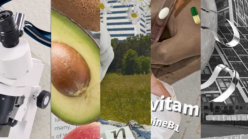 LAN「Vitamin Science」维他命起源与发展  产品科普片