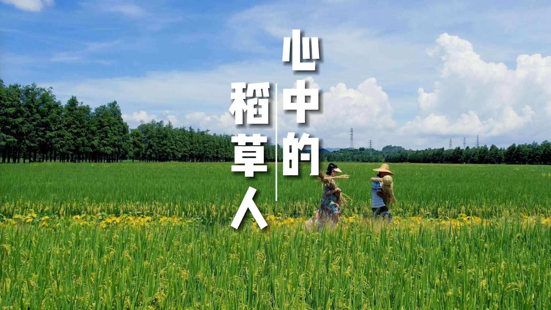 我们制作稻草人，守护2000亩农田！