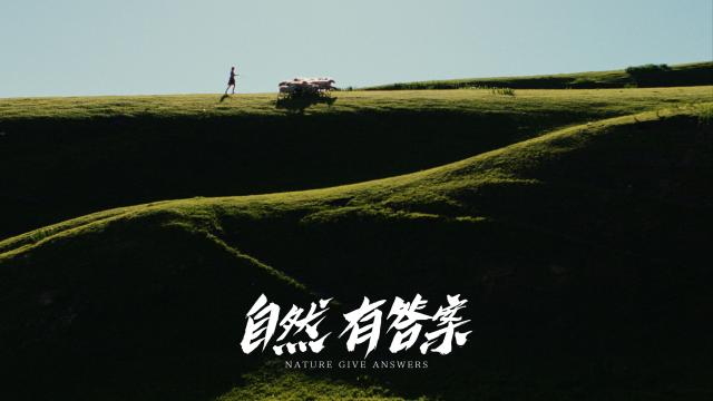 一只酸奶牛-溯源东方-纪录片