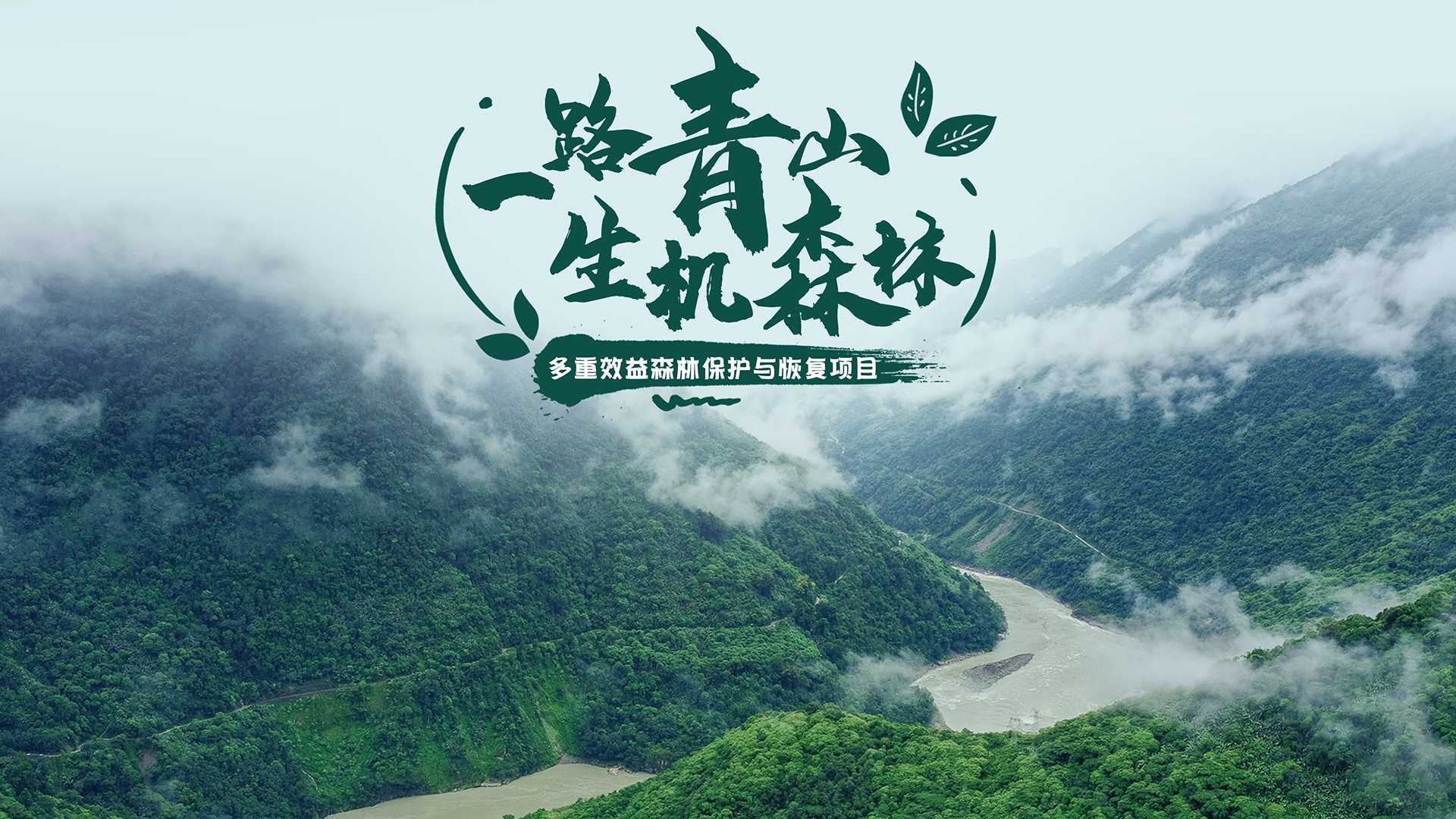 2022“一路青山·生机森林”多重效益森林保护与恢复分享会