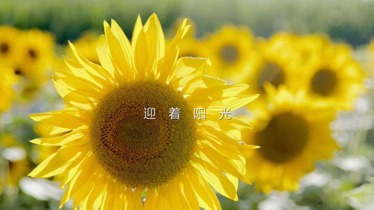三星中国“西部阳光”纪录短片