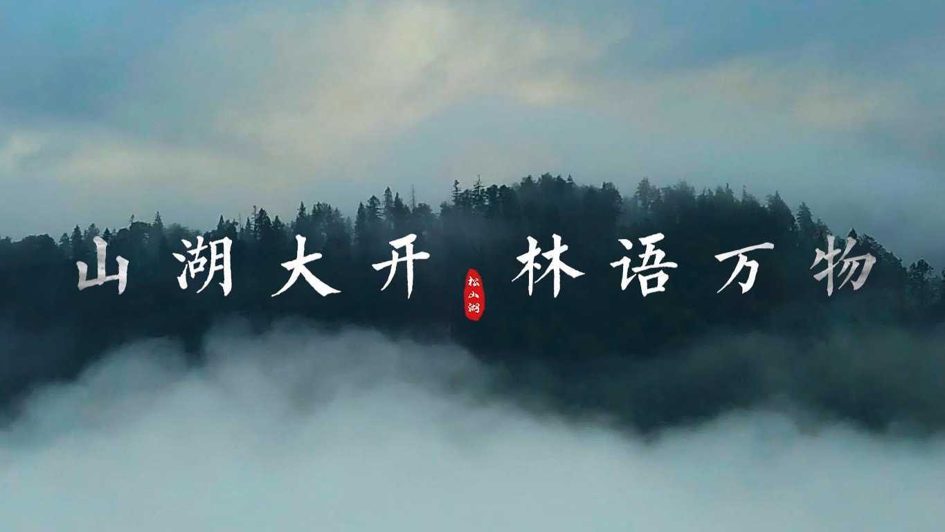 中海松湖林语 松湖四季片