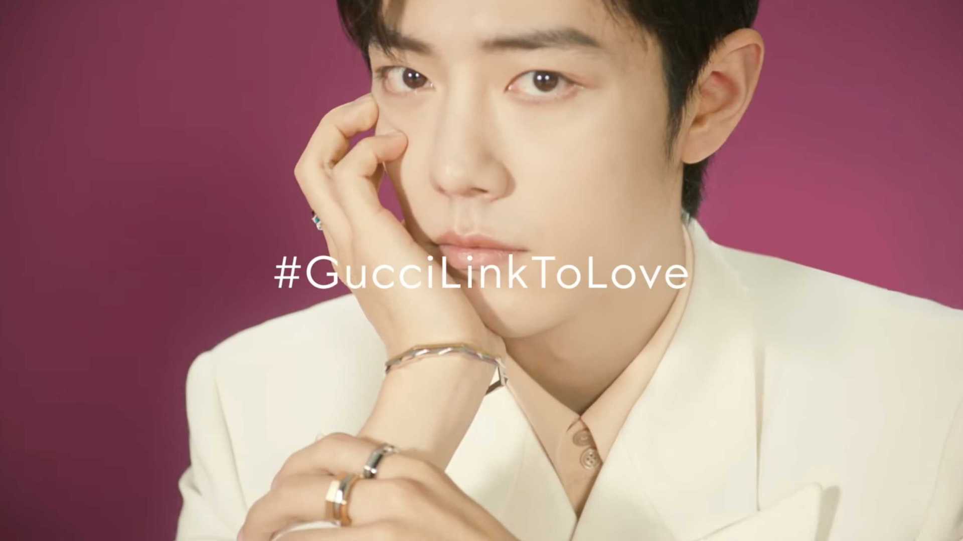Xiao Zhan in Gucci Link to Love