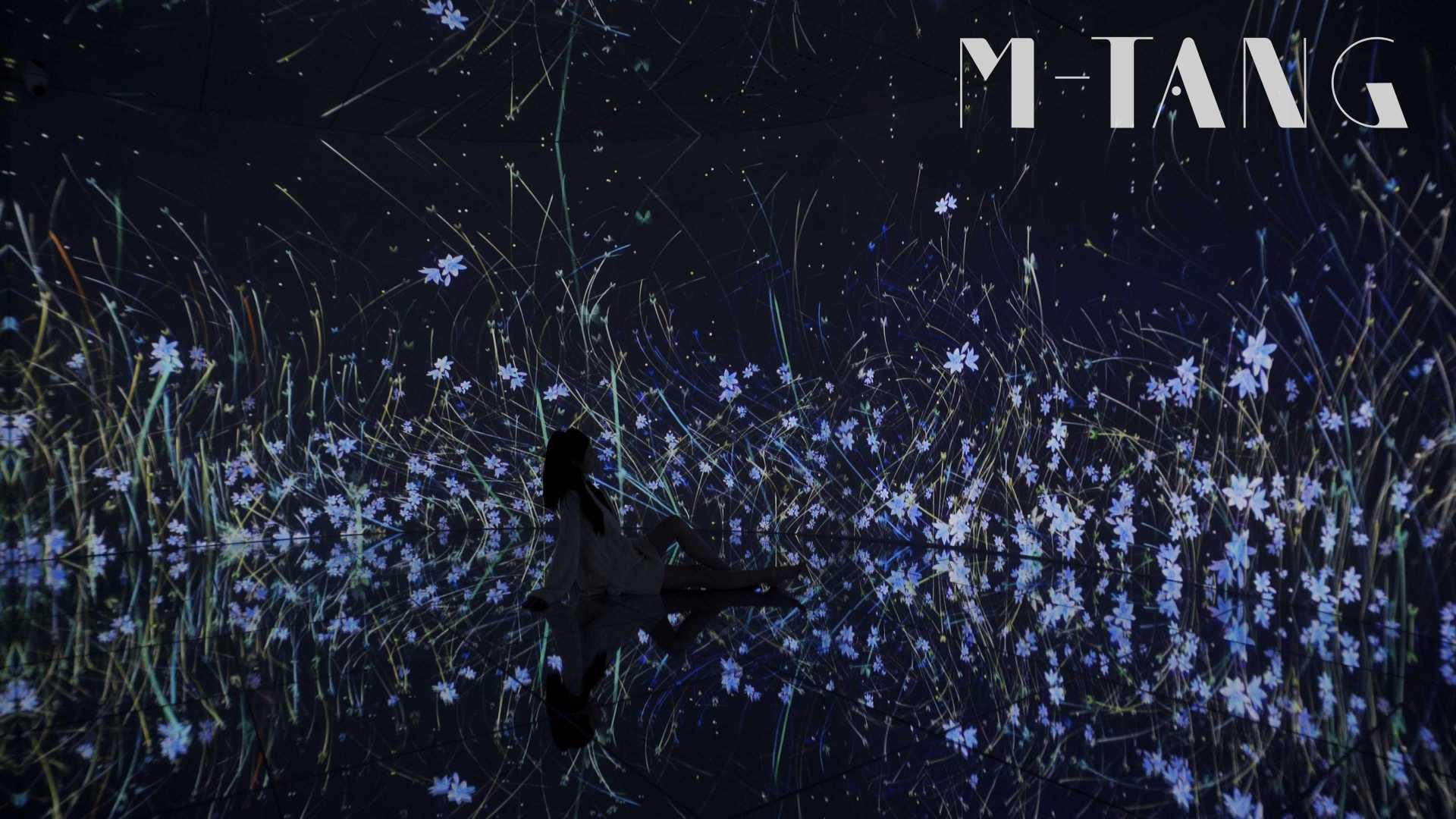 M-TANG沉浸式生成艺术无限空间——神经元密林