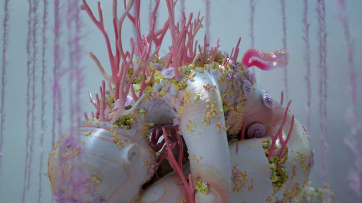 瓷器质感的海底世界《珊瑚礁》
