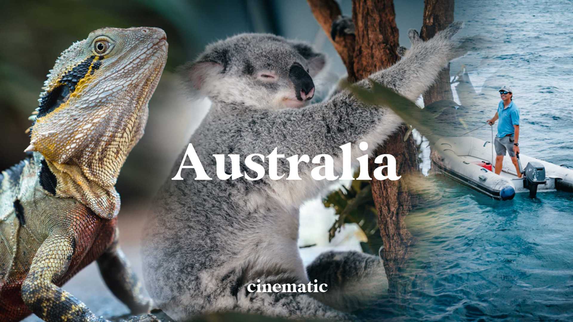 【澳洲旅拍】澳大利亚东海岸的情绪色彩