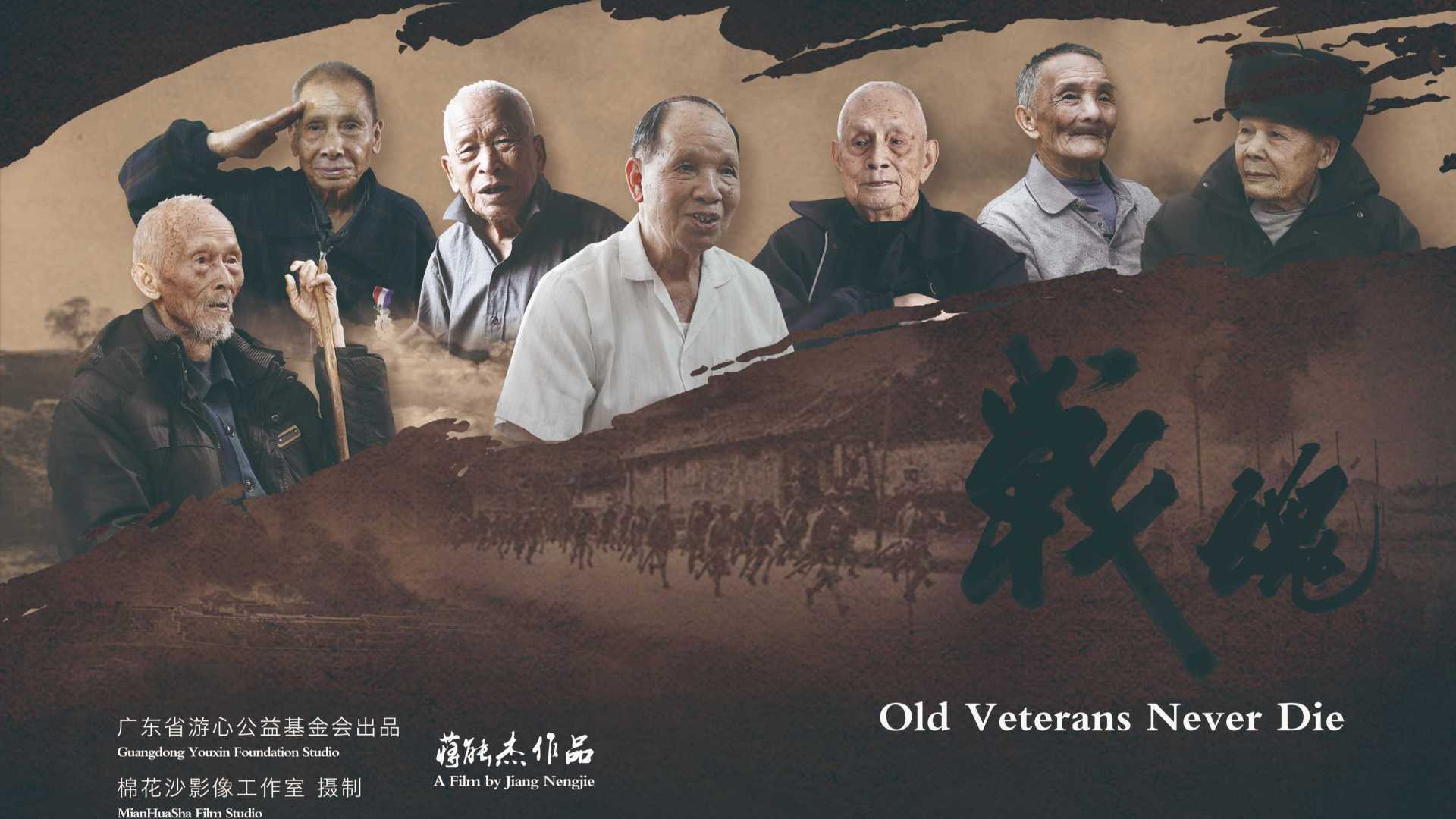 蒋能杰抗战老兵系列纪录片之《战魂》（2015）