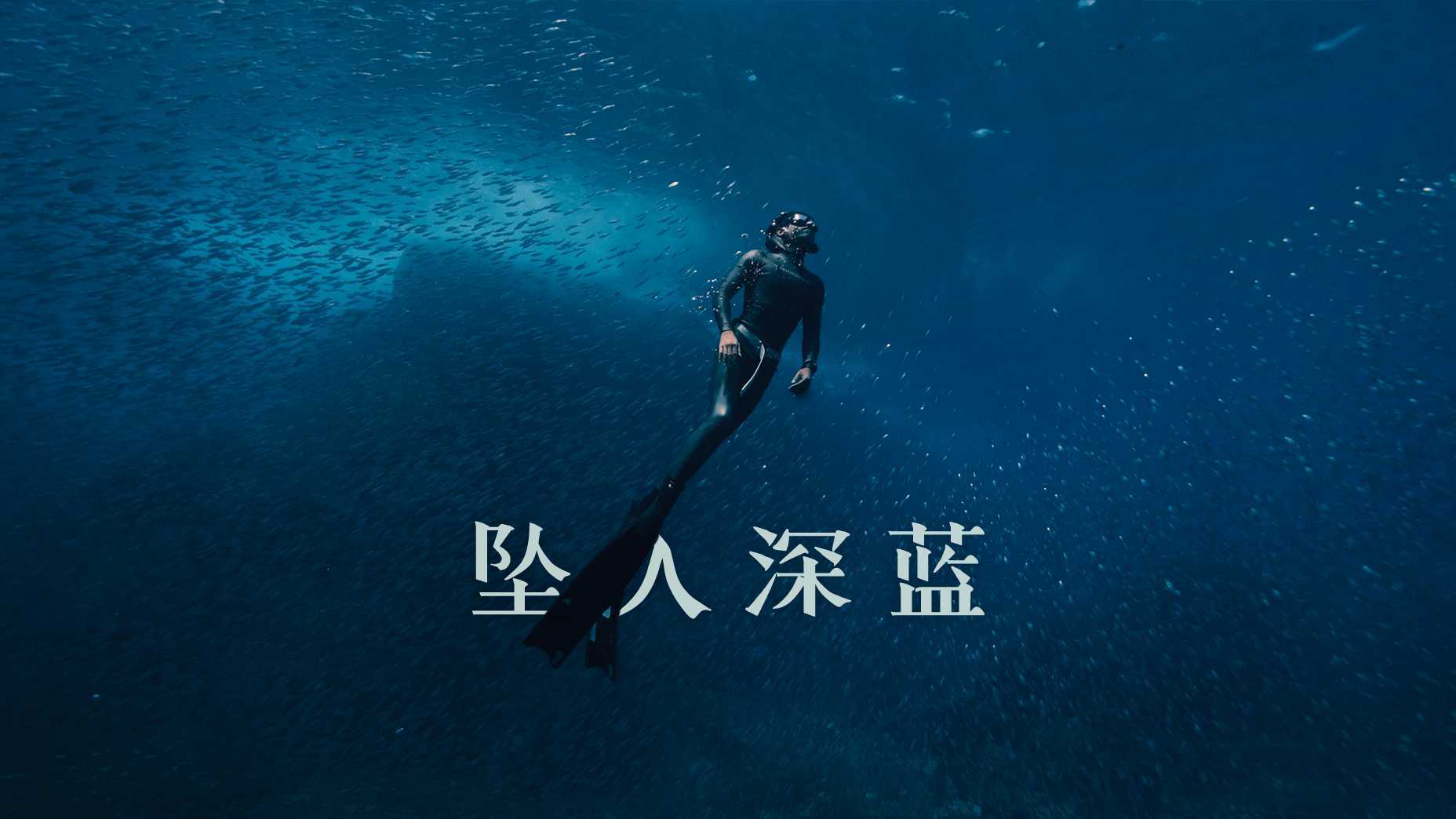 【坠入深蓝】雨林深海间的从容驰骋｜4K短片｜BLANK X TAYCAN