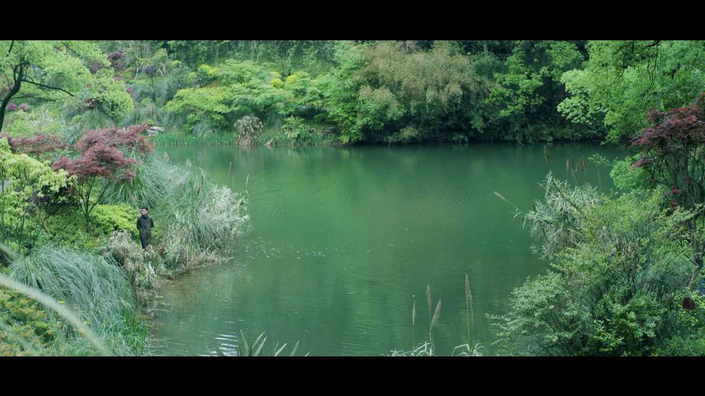 《向上而生》-重庆林业局微电影