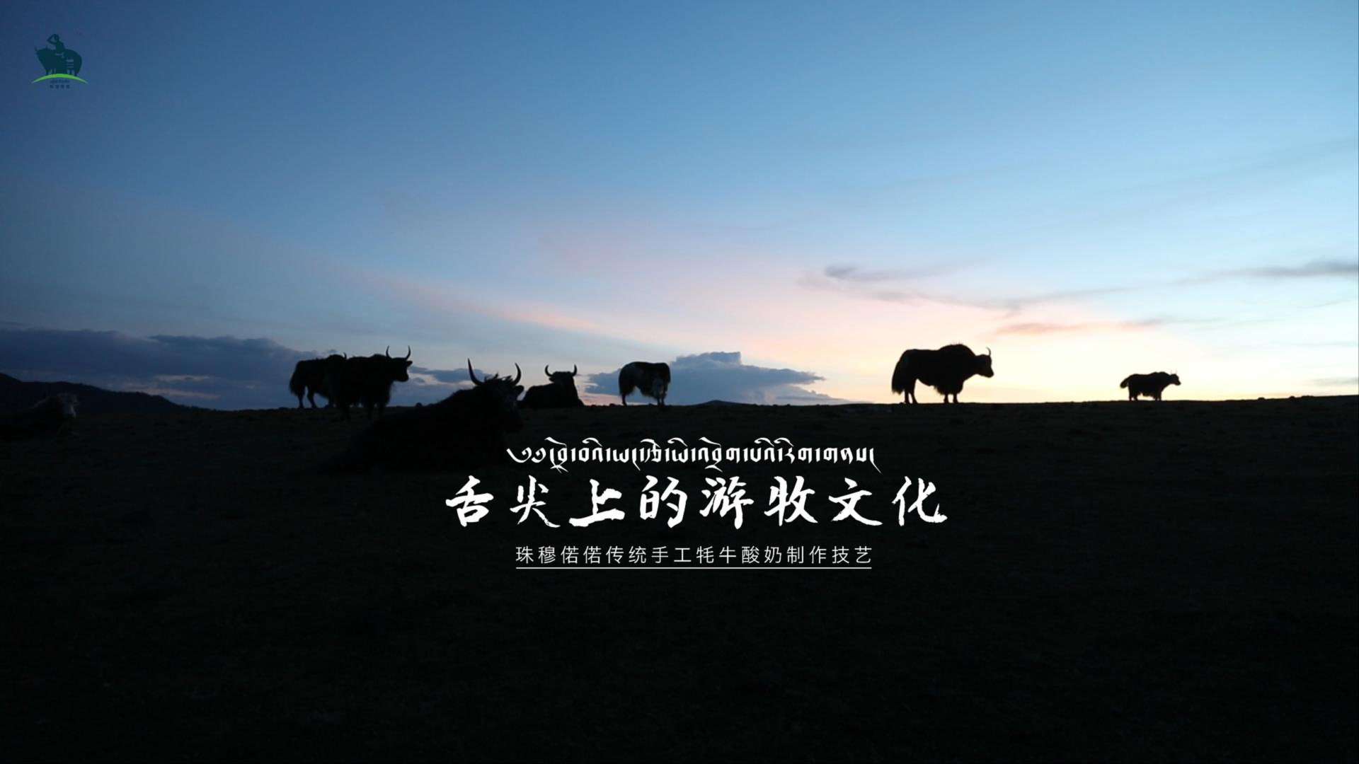炉霍珠穆偌偌牧业【传统手工牦牛酸奶制作技艺】