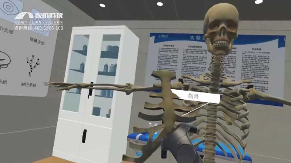 VR人体拆分三维演示动画