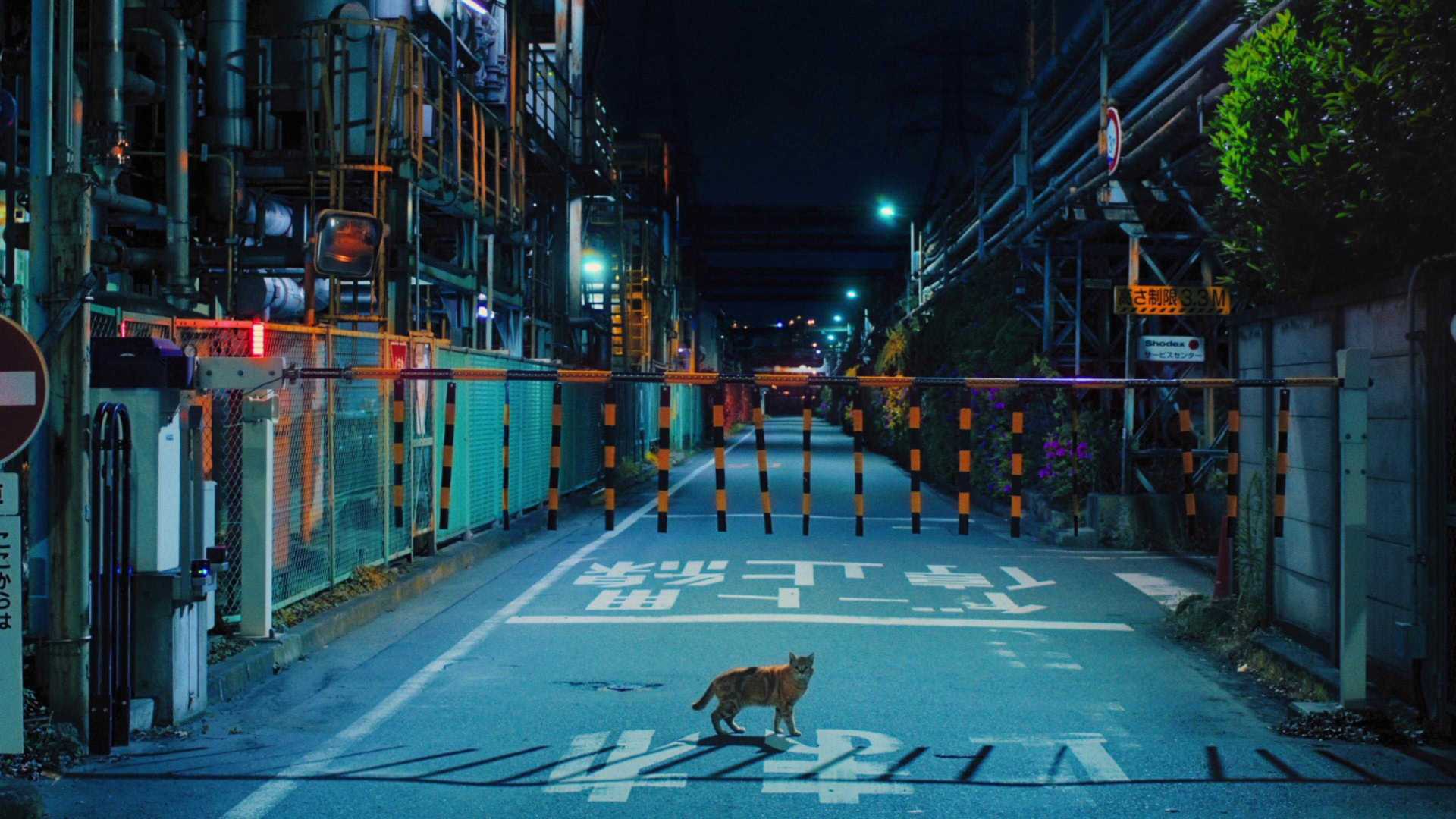 日本视觉街拍短片《远方的记忆》