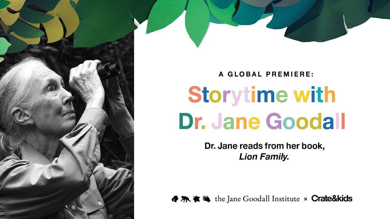 【配乐】Jane Goodall_Lion Family 珍·古道尔_狮子家族