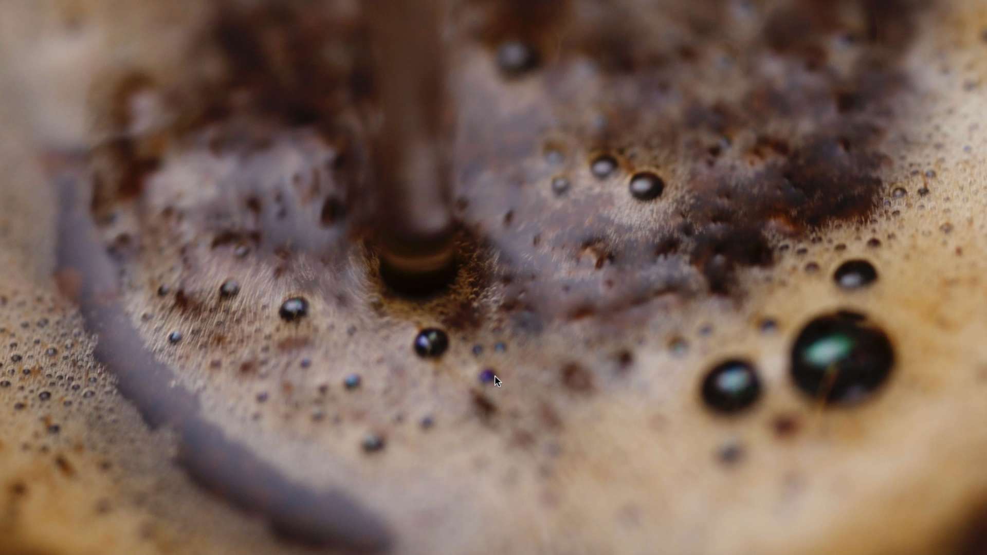 模仿油管PeterLindgren拍摄手冲咖啡