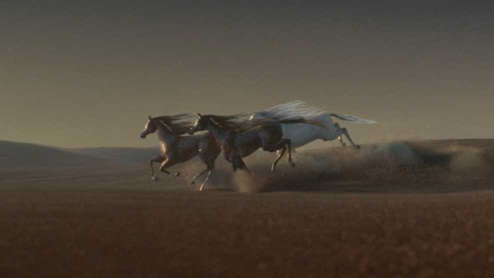 沙漠视觉CG《奔跑的马》