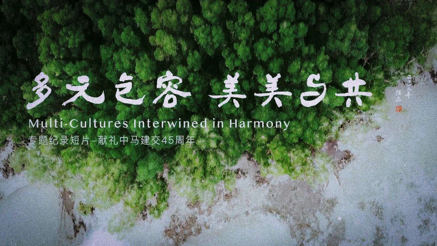 中马建交45周年纪录片《多元包容 美美与共》北京大学马来西亚校友会出品