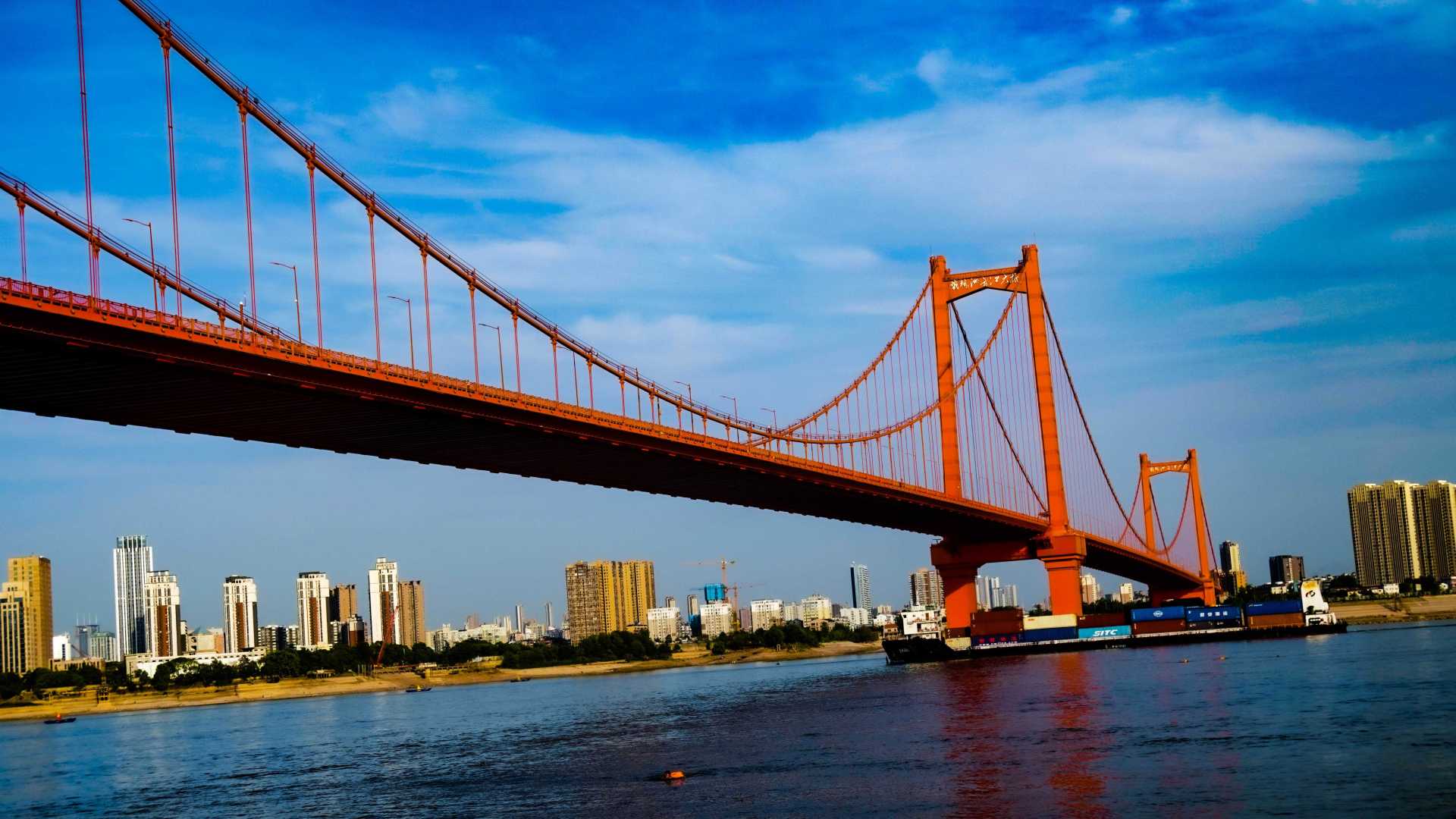 武汉鹦鹉洲大桥航拍镜头