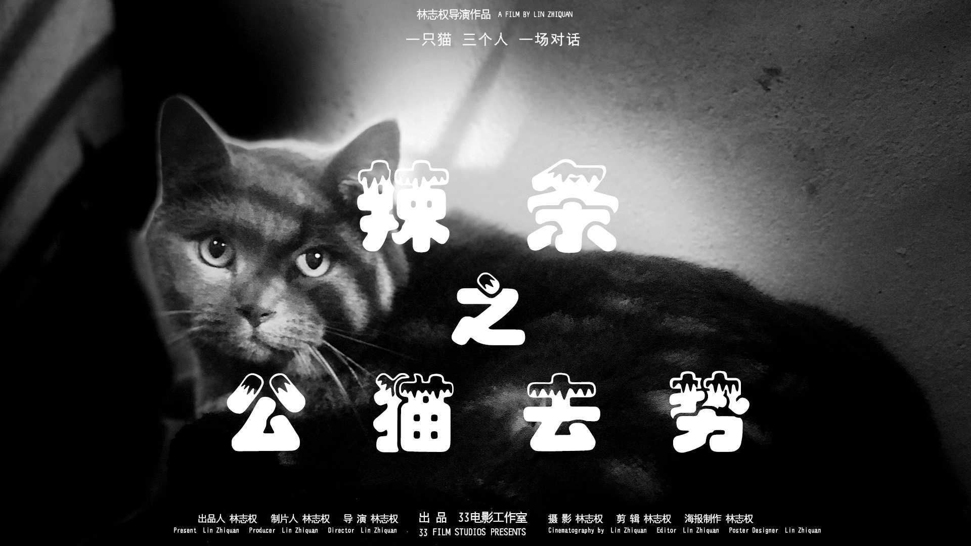 纪录短片《辣条之公猫去势》林志权导演作品