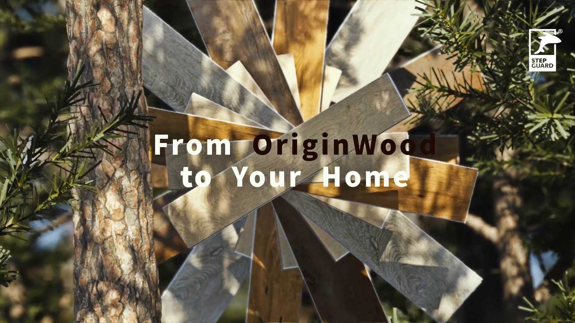 OriginWood系列地板先导概念视频