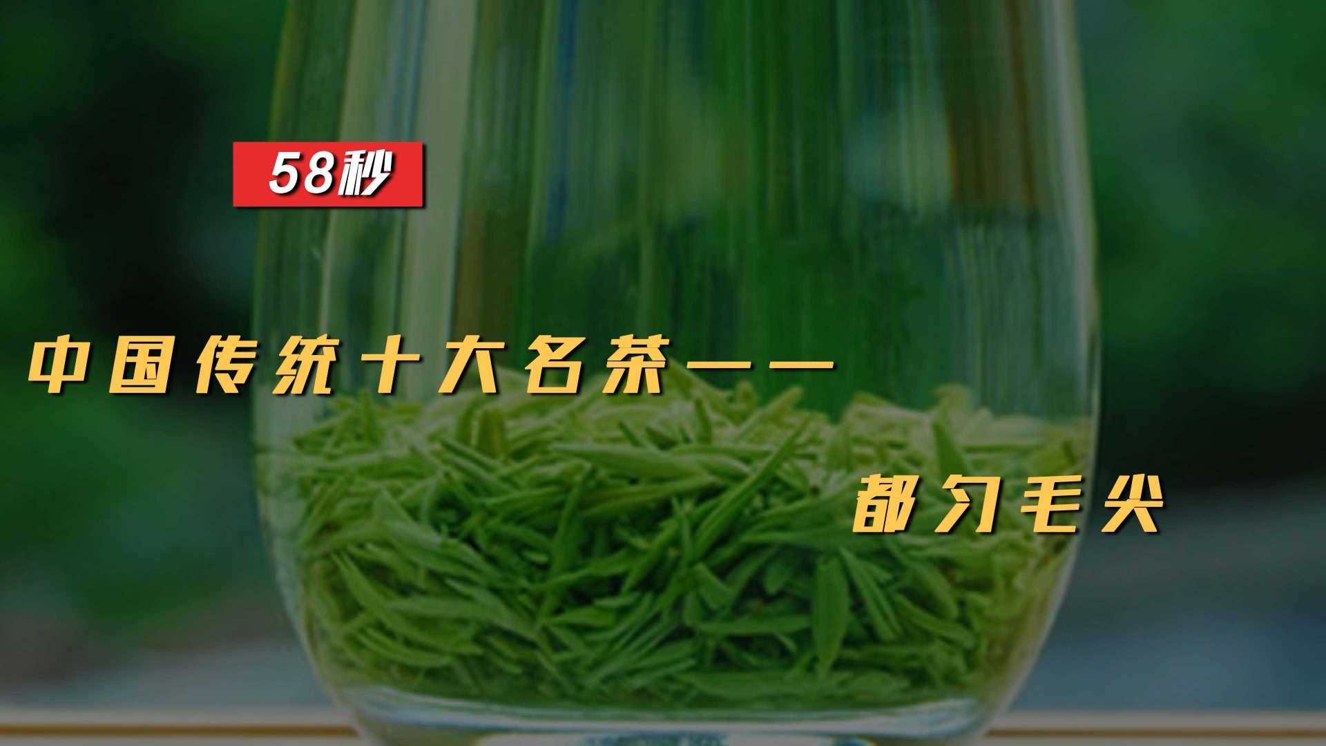中国传统十大名茶之都匀毛尖