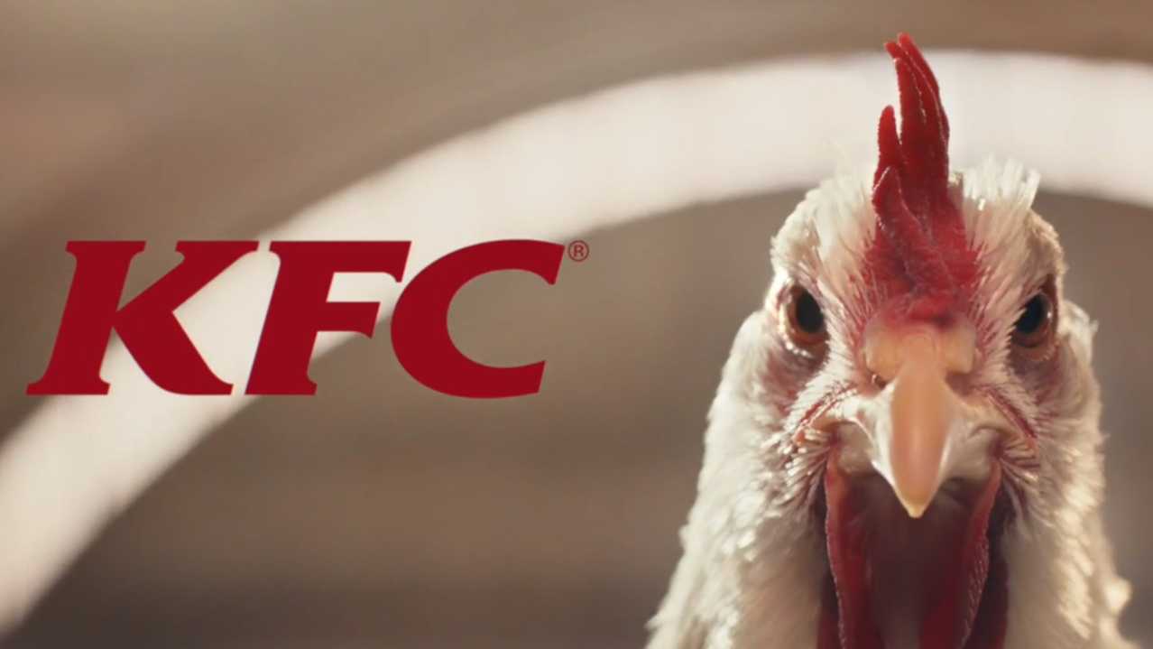 肯德基CG广告《一只超自信的鸡》