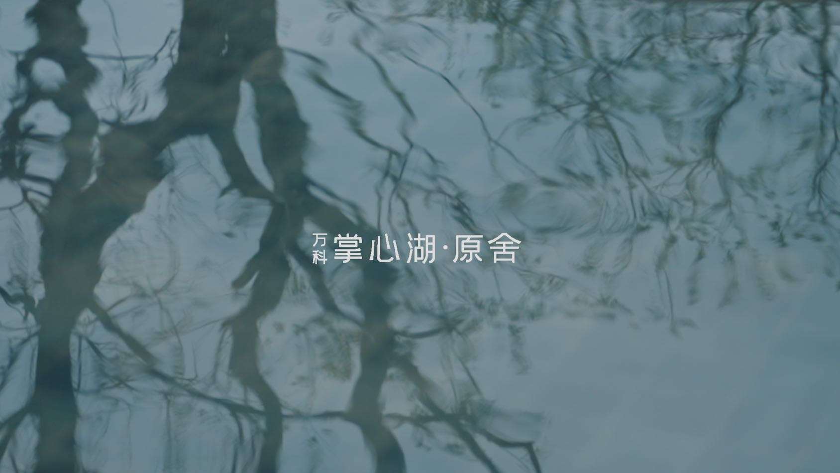 上海万科掌心湖调性视频