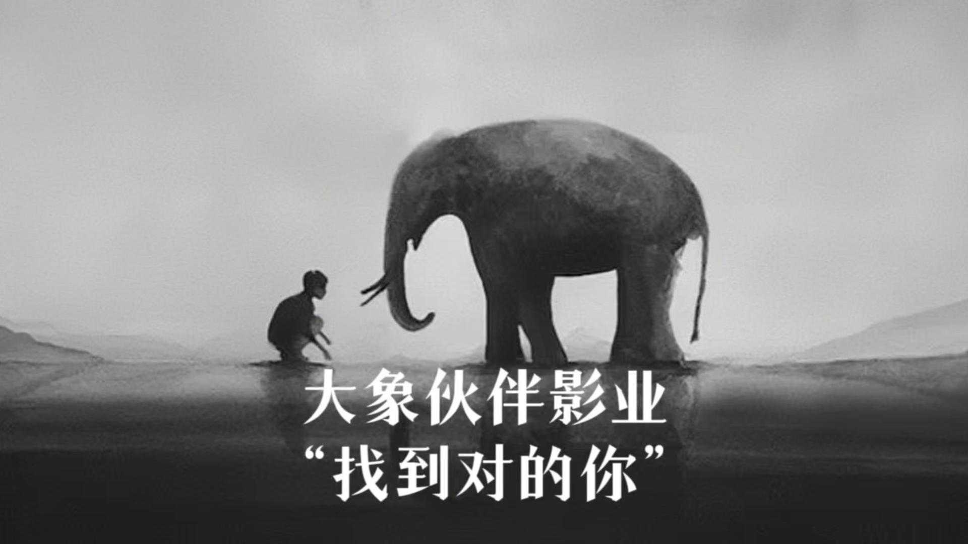 大象伙伴影业宣传片