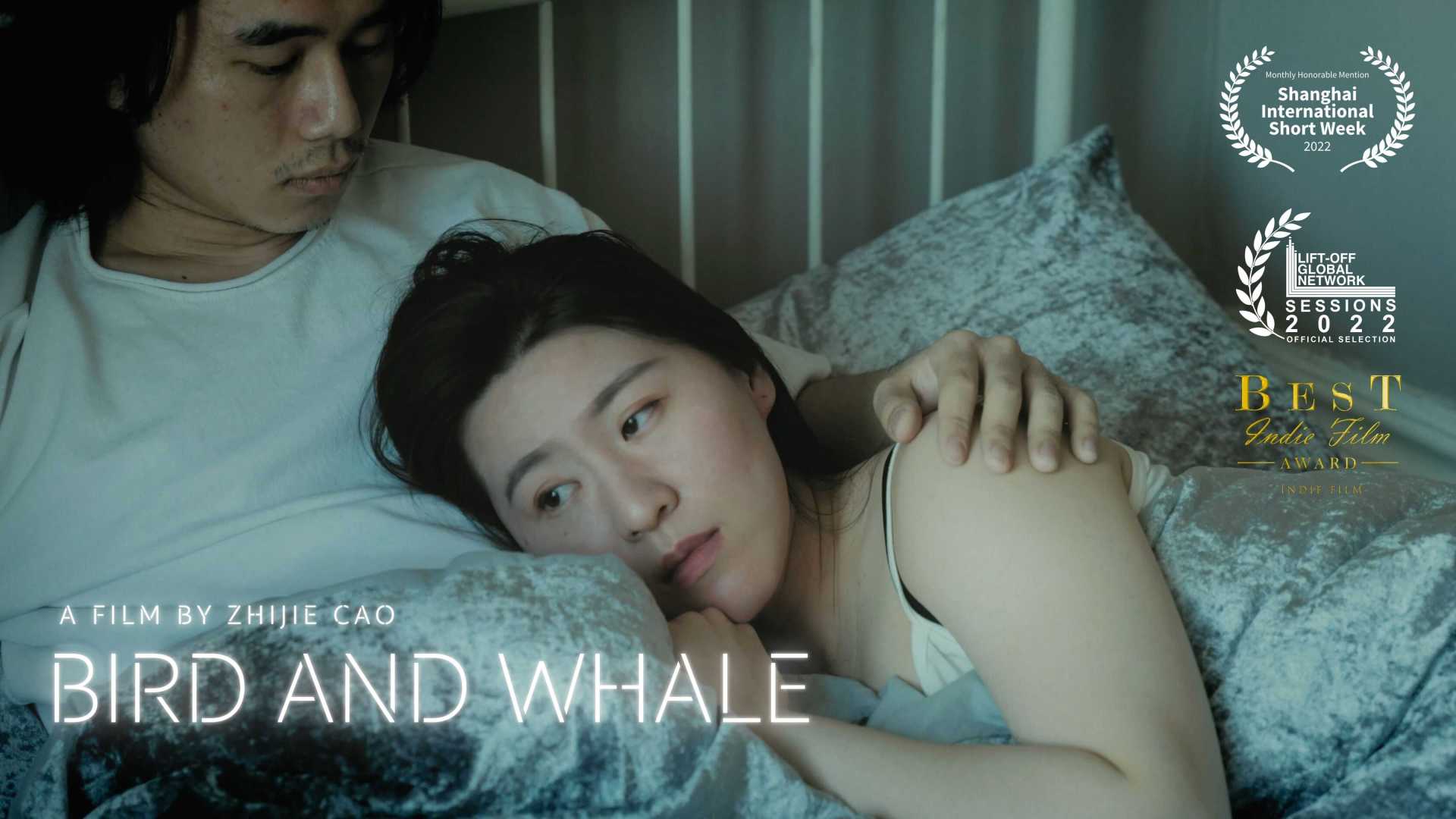 飞鸟与鲸Bird and Whale | 爱情微电影2021