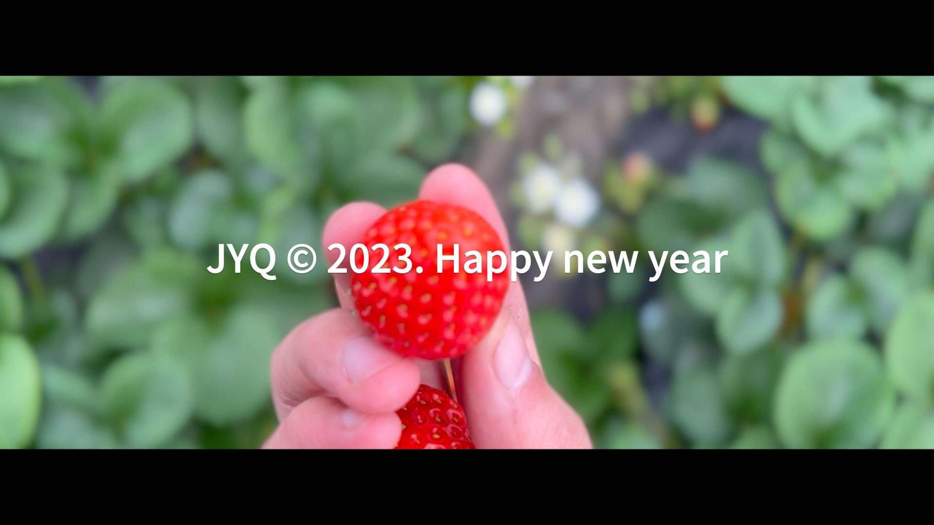 2023“莓烦恼”