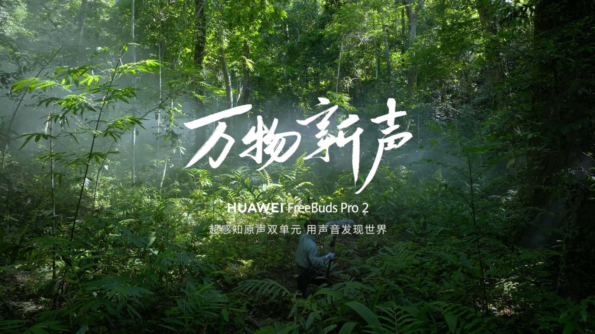《万物新声》华为HUAWEI FreeBuds Pro2