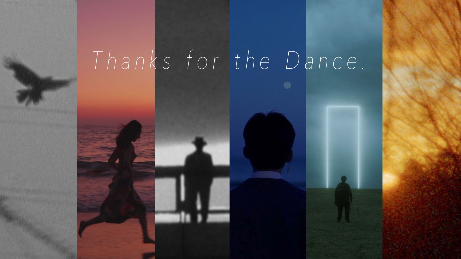 《Thanks for the Dance》| Showreel混剪