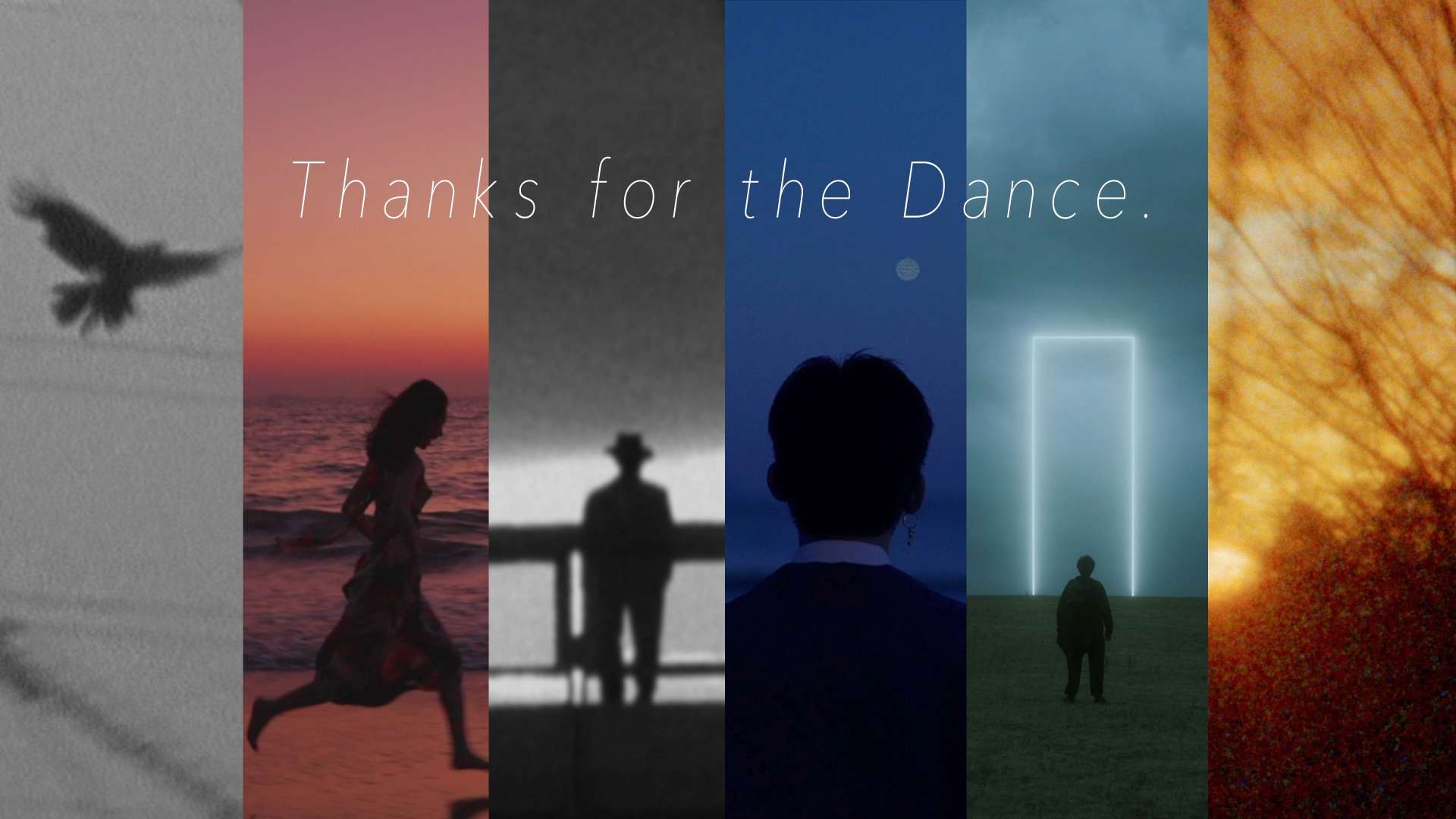 《Thanks for the Dance》| Showreel混剪