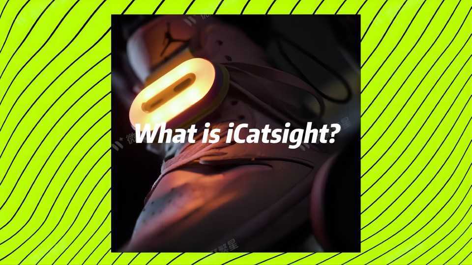 iCatsight-skateboard