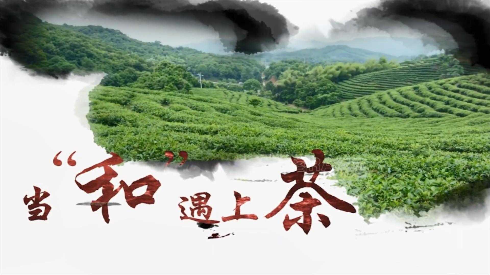 ERA纪元x中广核 | 福鼎白茶公益广告——《和茶》