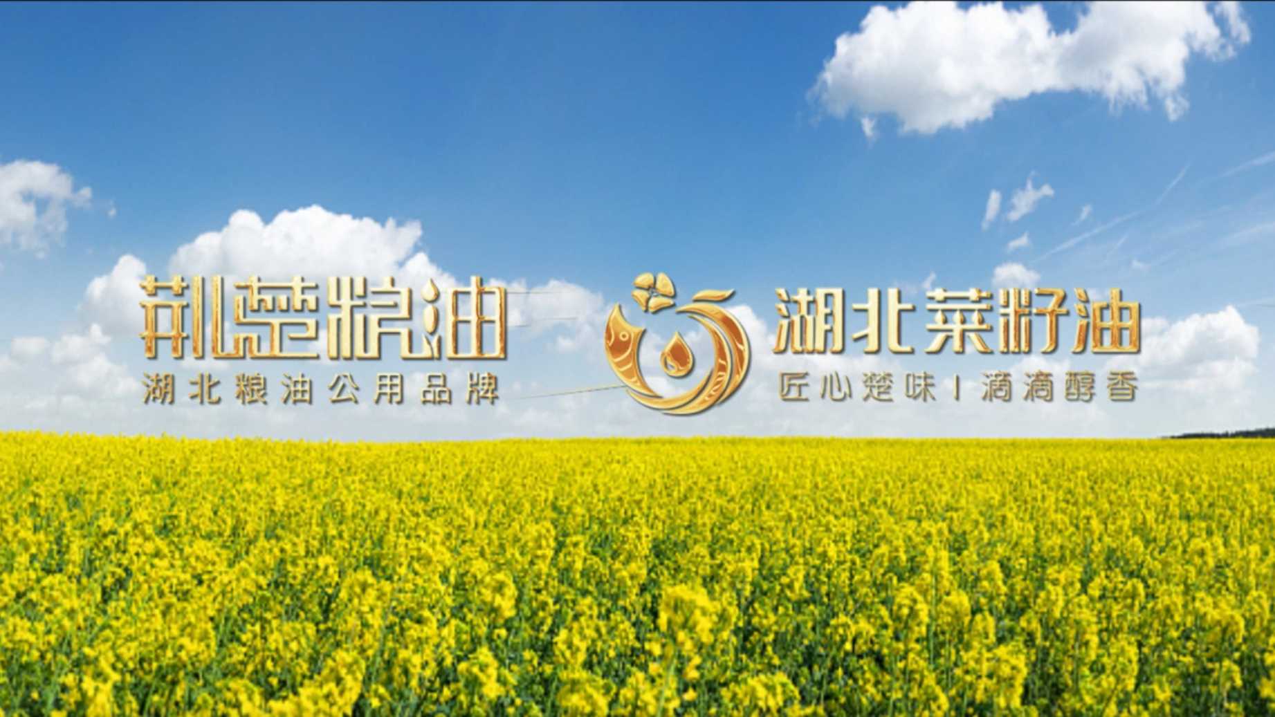 2022湖北省菜籽油宣传片