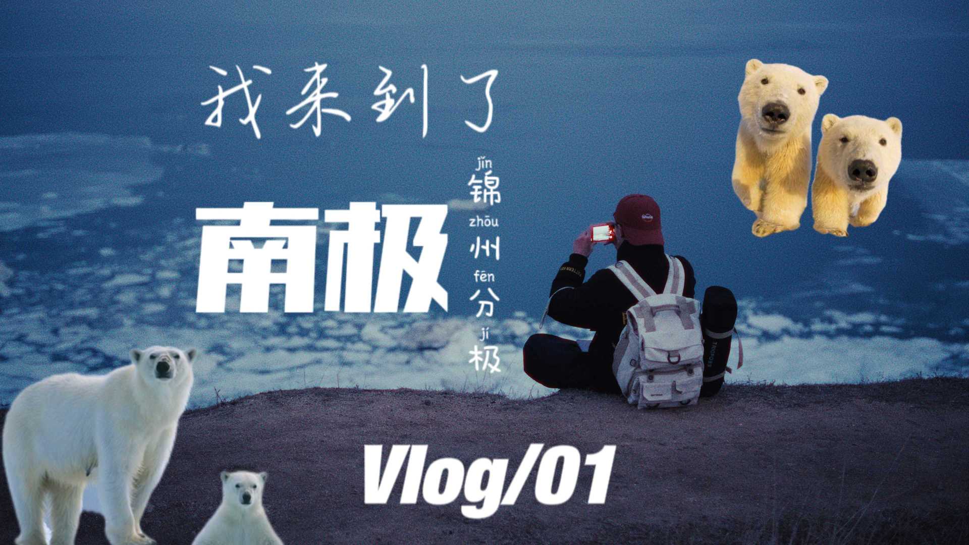 vlog丨我来到了南极锦州分极丨瞎转悠系列