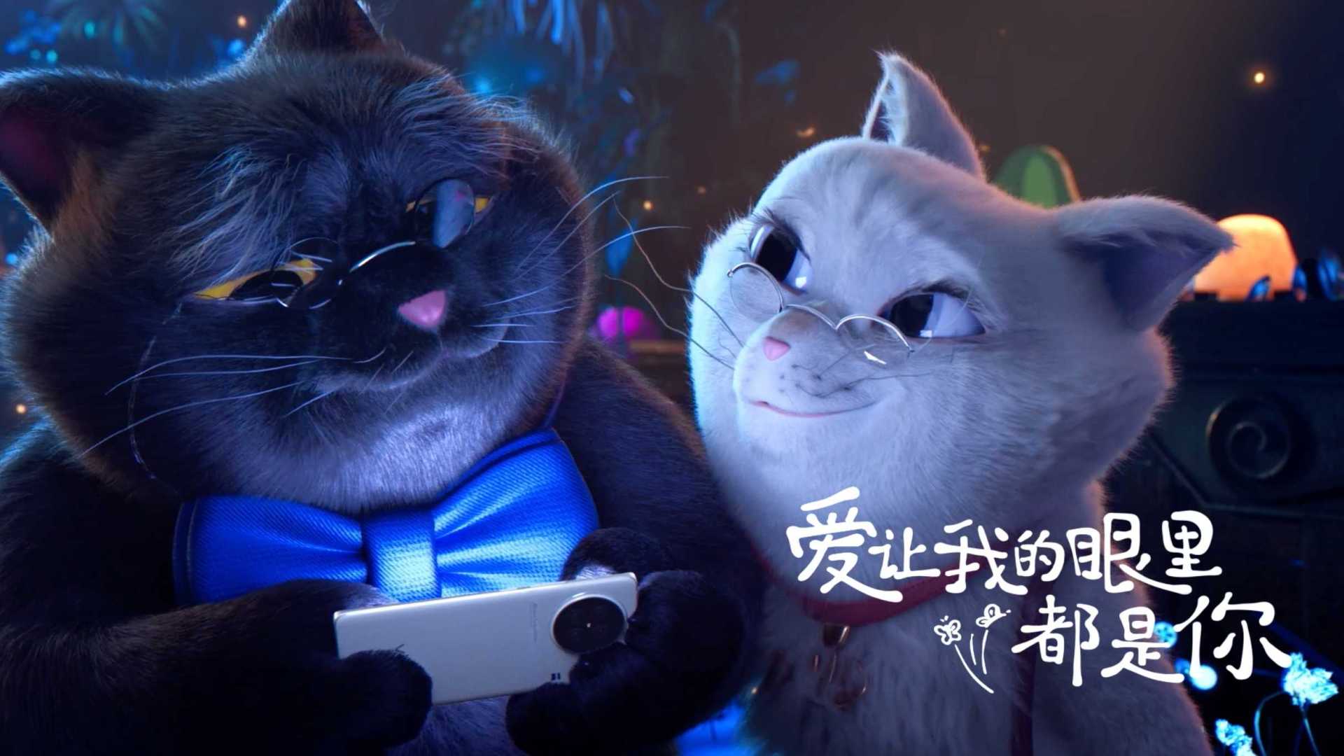 黑猫的谢幕演出：vivo喵星爱情故事动画第二集