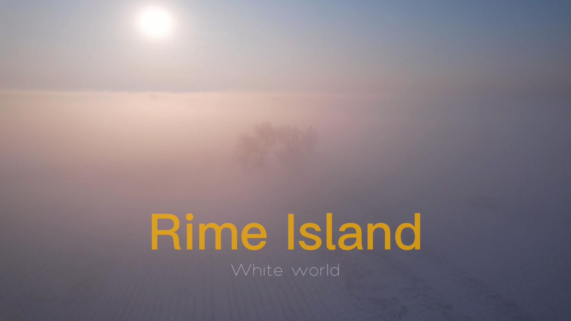 白色梦幻的世界-吉林雾凇岛