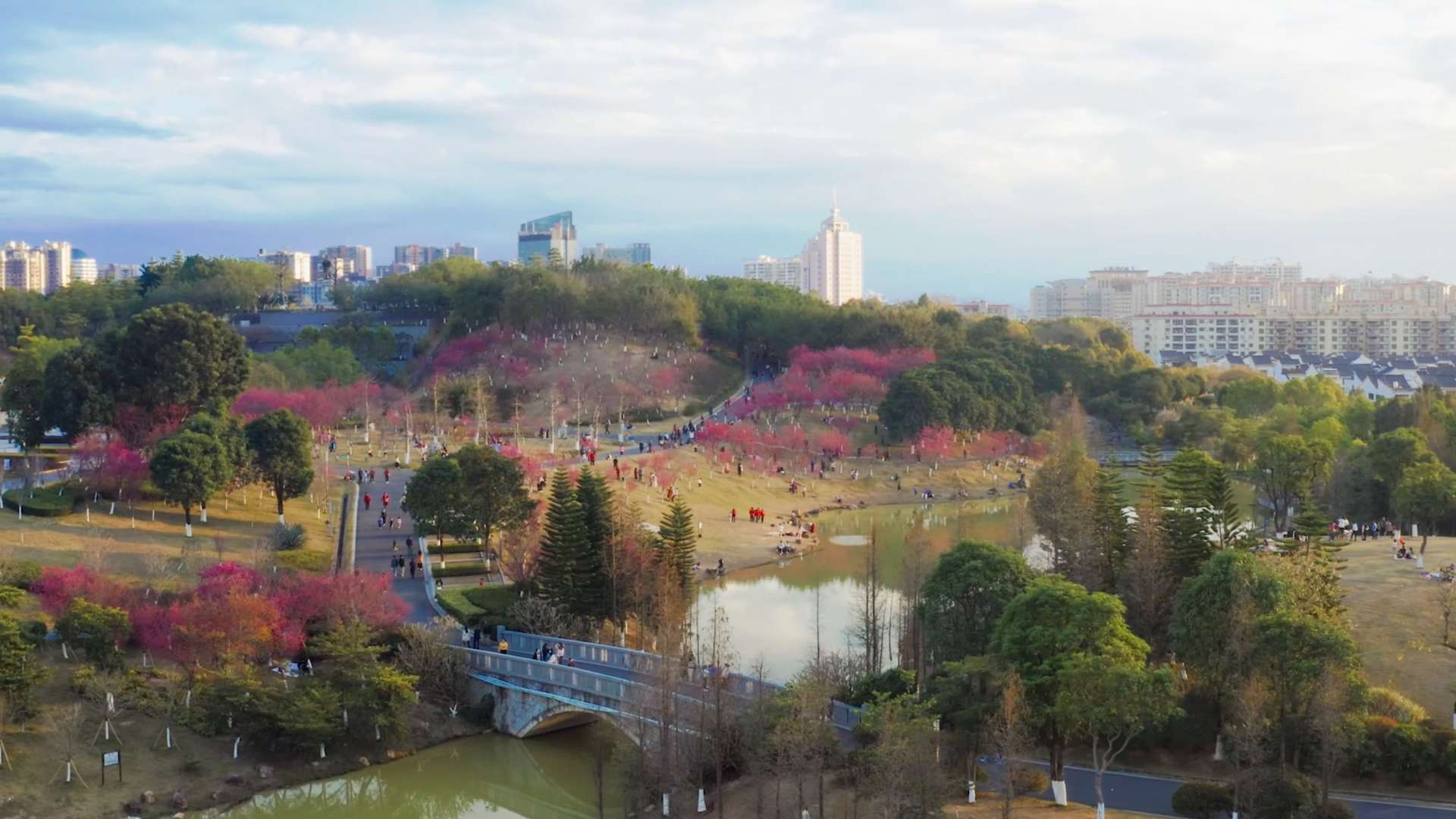 河源·客家文化公园·樱花迎春绽放