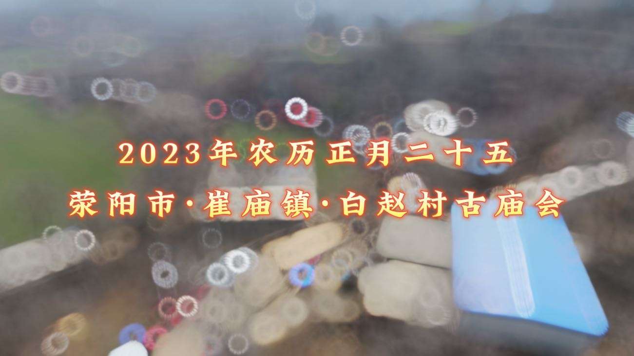 2023年白赵村古庙会
