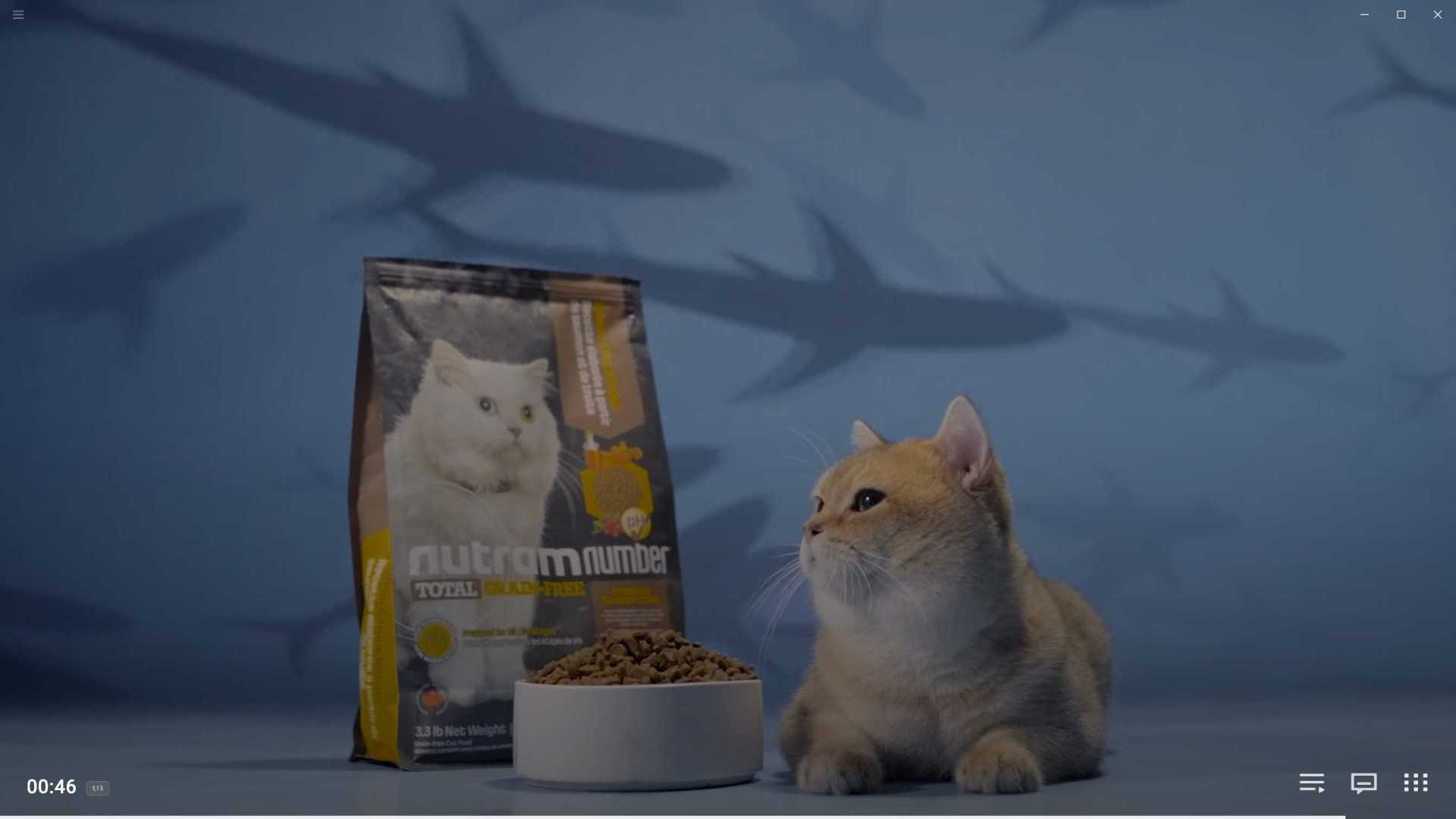 猫粮宠物美食粮电商广告拍摄