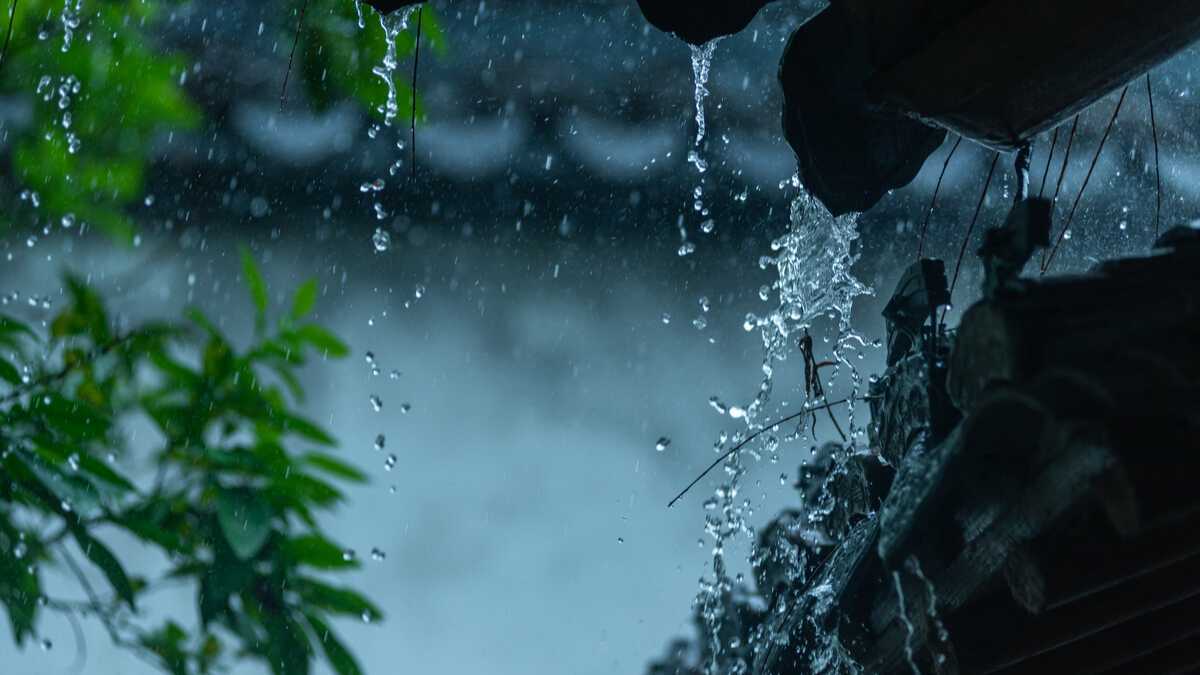东山大观｜观廿四 Rain Water 雨水