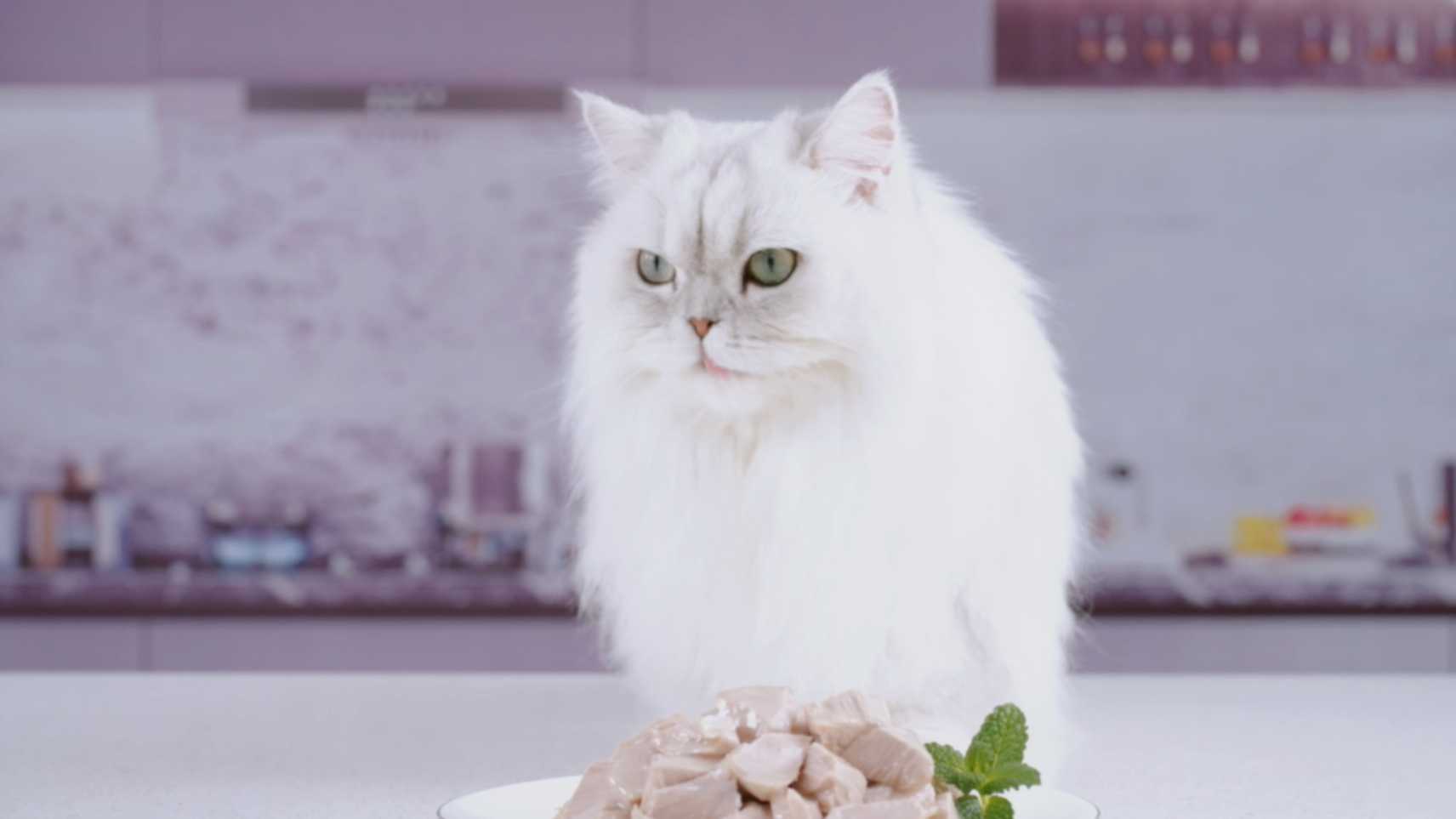 FancyFeast珍致猫咪鱼罐头 电商广告「珍致金罐 更懂喵的鲜」