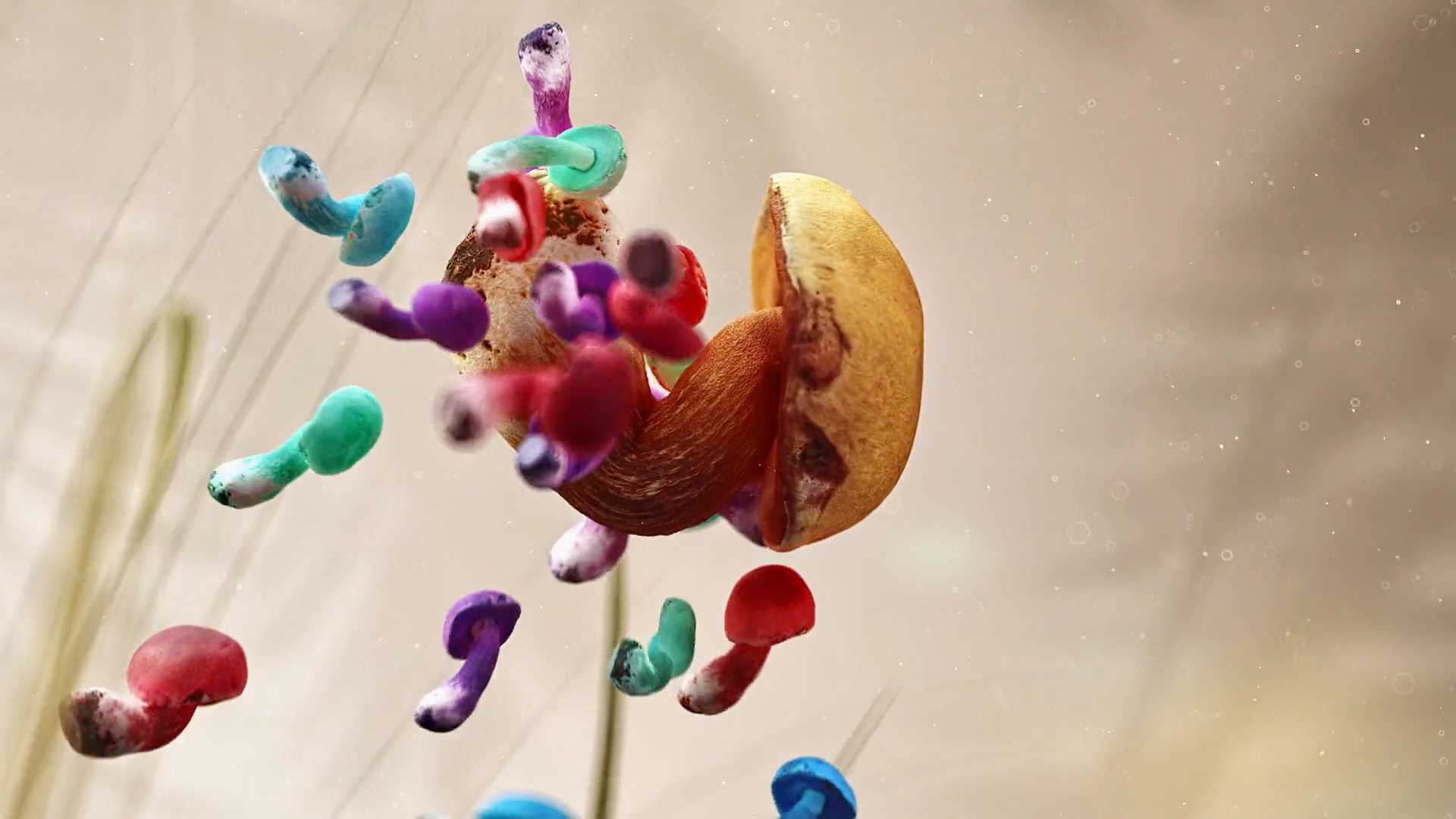 CG奇幻脑洞《欢迎来吃菌子的世界》