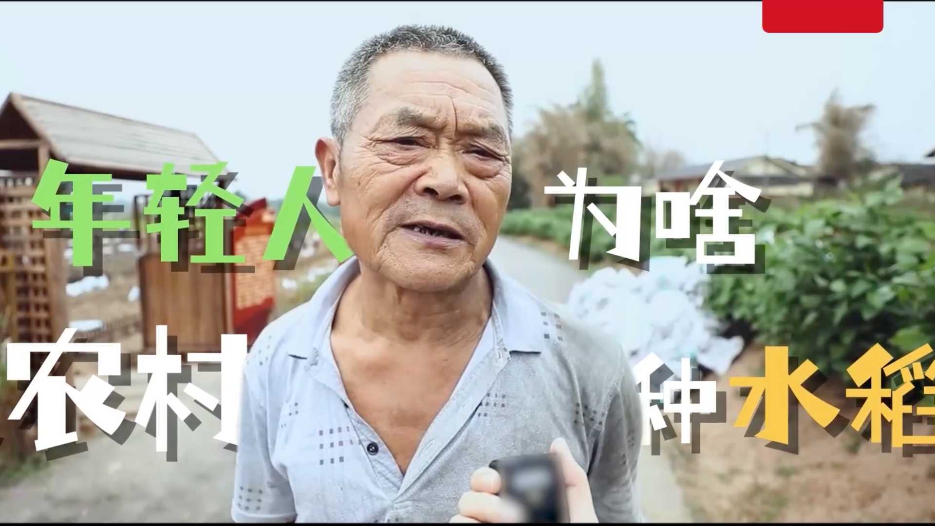 袁隆平团队X 农民节|当95后去种地并和农民打赌这件事