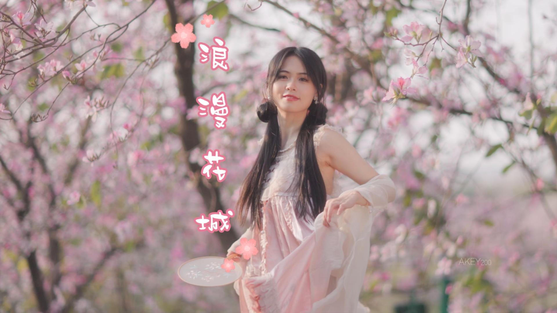 浪漫花城『广州海珠湿地公园-与紫荆花的浪漫邂逅 』